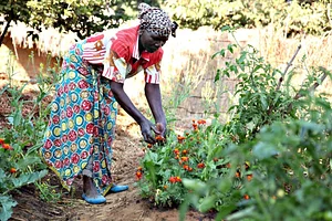 Permaculture Paradise Institute Learning Center