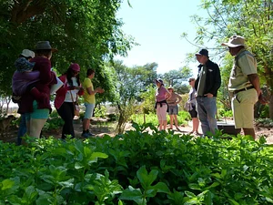 Permaculture at Namibian Organic Association