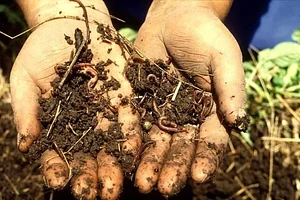 Permaculture at Namibian Organic Association