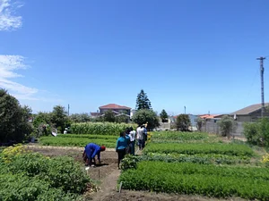 Permaculture at Namibian Organic Association