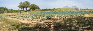 Maraîchage Bio, Permaculture et Agroécologie
