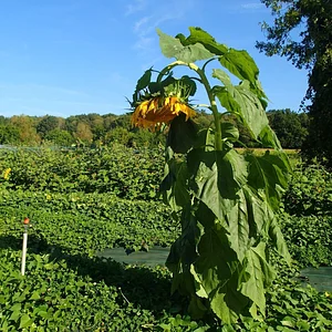 Ferme de La Grande Rivière