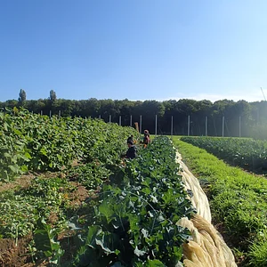 Ferme de La Grande Rivière