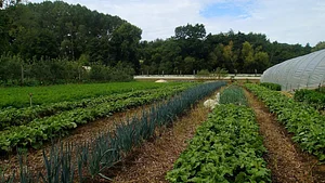 Ferme de La Grande Rivière