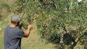 Conscious Earth Permaculture Farm