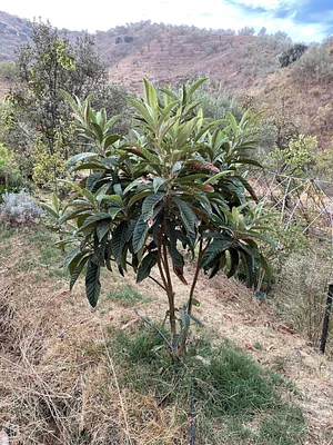 Conscious Earth Permaculture Farm