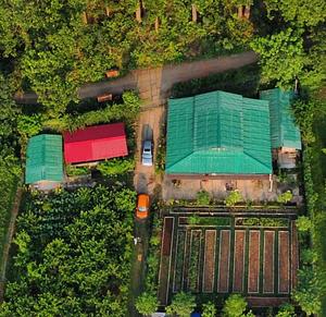 Forest Side Farm