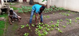 Promoting agroecological family gardens