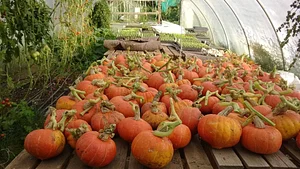 Ragmans Lane Farm