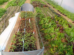 Cloughjordan Community Farm