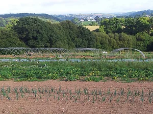 The Apricot Centre