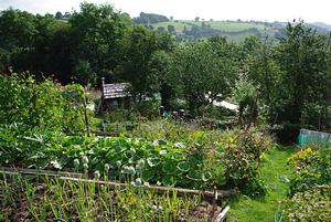Garth Organic