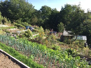 Garth Organic Garden