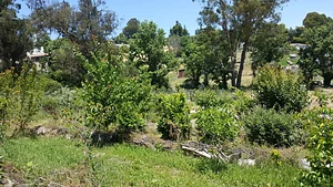 U-Pick Organic Farm Produce