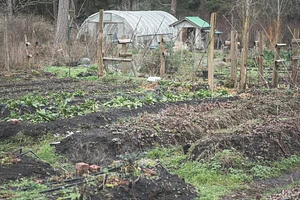 Watercliff Permaculture Farm
