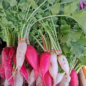 Watercliff Permaculture Farm