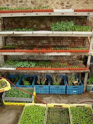 De Ommuurde Tuin