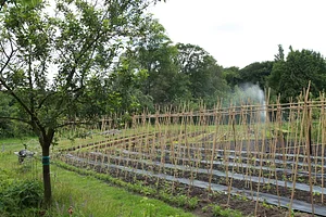 De Ommuurde Tuin