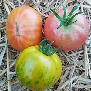Agroecology in Plum Village Happy Farm