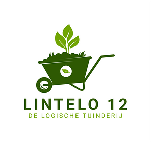 Lintelo 12