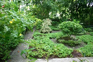 Learning Center at Kuatro Maria's Agroecology Farm.