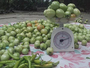 Learning Center at Kuatro Maria's Agroecology Farm