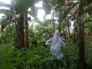 Learning Center at Kuatro Maria's Agroecology Farm