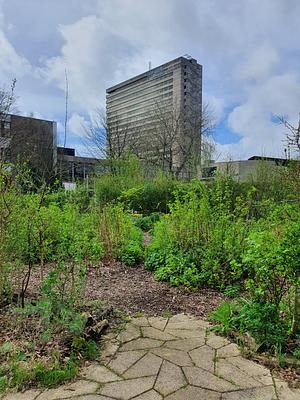 Edible EUR / Campus Garden Erasmus University Rotterdam