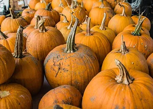 NCSU Agroecology Education Farm