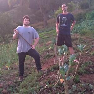 AgriculturaOrganicaSP