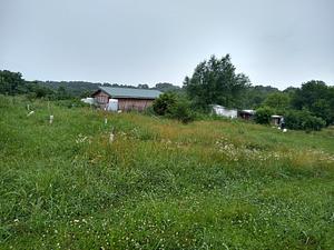 Fox Holler Farmstead