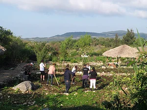 En trabajo agroecológico