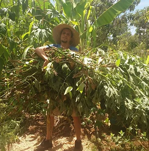 Um presente da terra - Compostagem