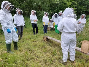 Beekeeping class