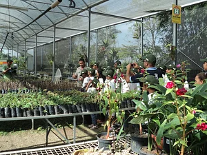 Parque ecológico da Vila Residencial da UFRJ
