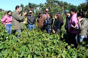 Produção de Sementes Crioulas e Adubos Verdes