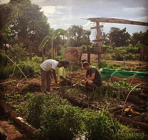 Planting