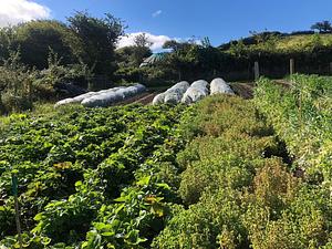 Henbant Permaculture