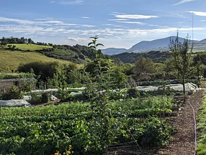 Henbant Permaculture