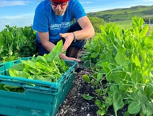 Henbant Permaculture