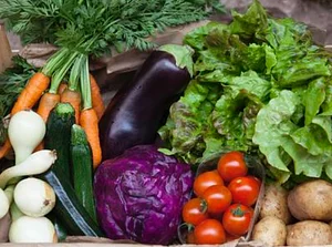 Henbant Permaculture