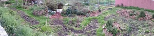 huerta semi urbana