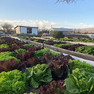 El Campanario - Finca Agroecológica