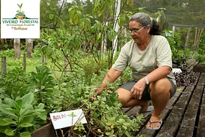 Ana Margarida Castro Euler