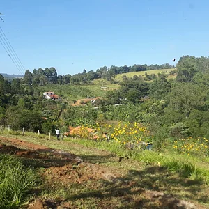 Beija-Flor da Lua Produtos Naturais