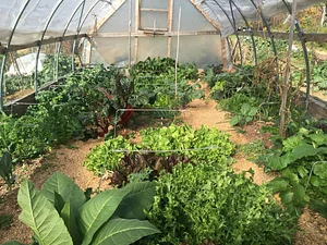 Utica Bridge Farms