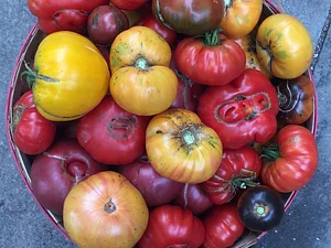 Utica Bridge Farms
