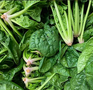 Pico - Organic freshness for trade and gastronomy