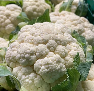 Pico - Organic freshness for trade and gastronomy