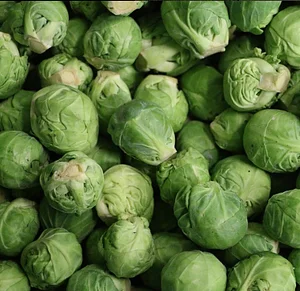 Pico - Organic freshness for trade and gastronomy